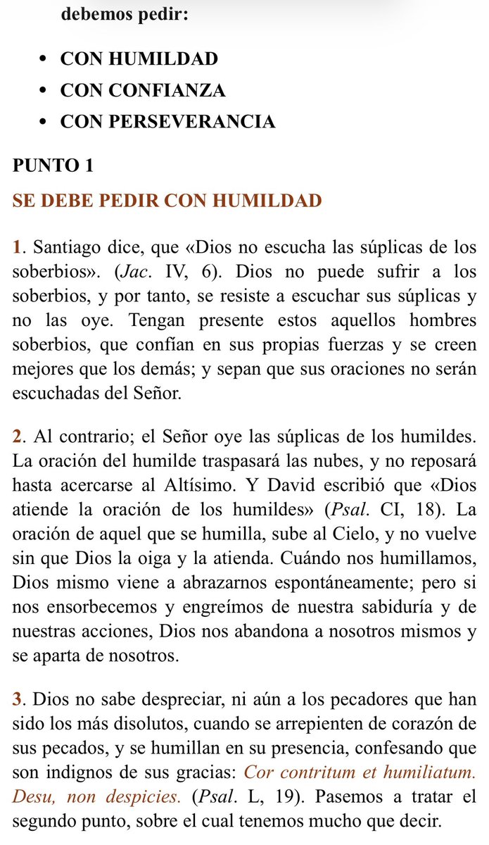 María ن tweet media