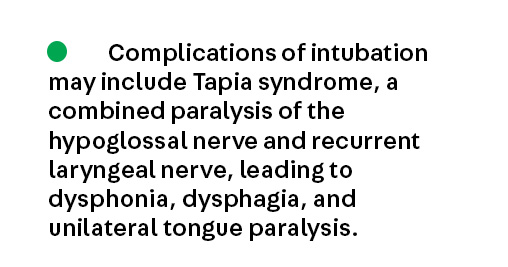 Continuum: Lifelong Learning in Neurology tweet media