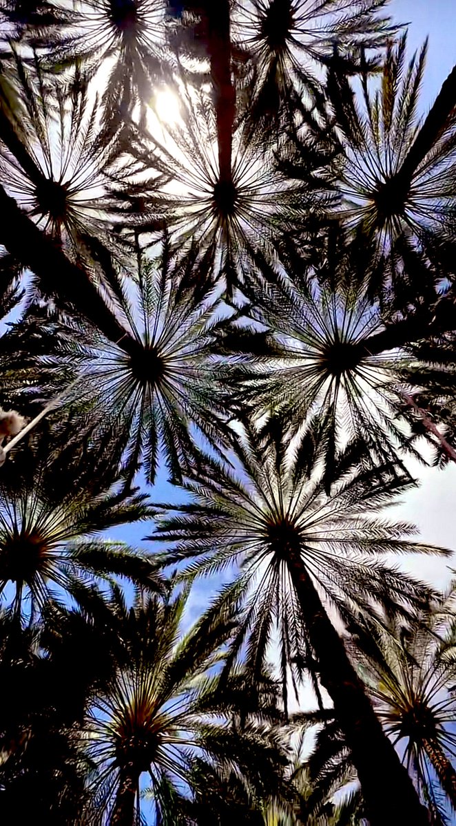 حياة حُرة tweet media