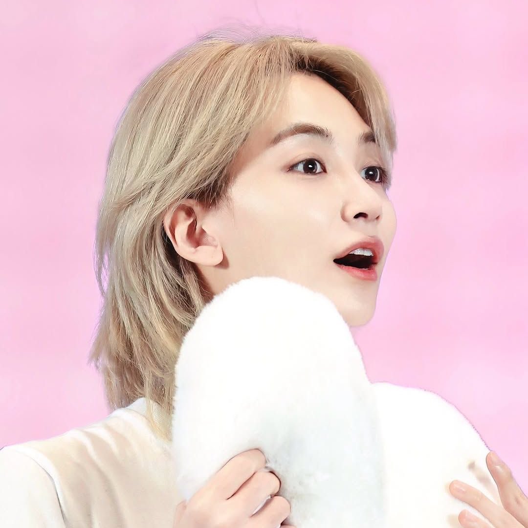 𝓬hu ꒰ᐢ. .ᐢ꒱₊˚⊹ loves 𝓳eonghan tweet media