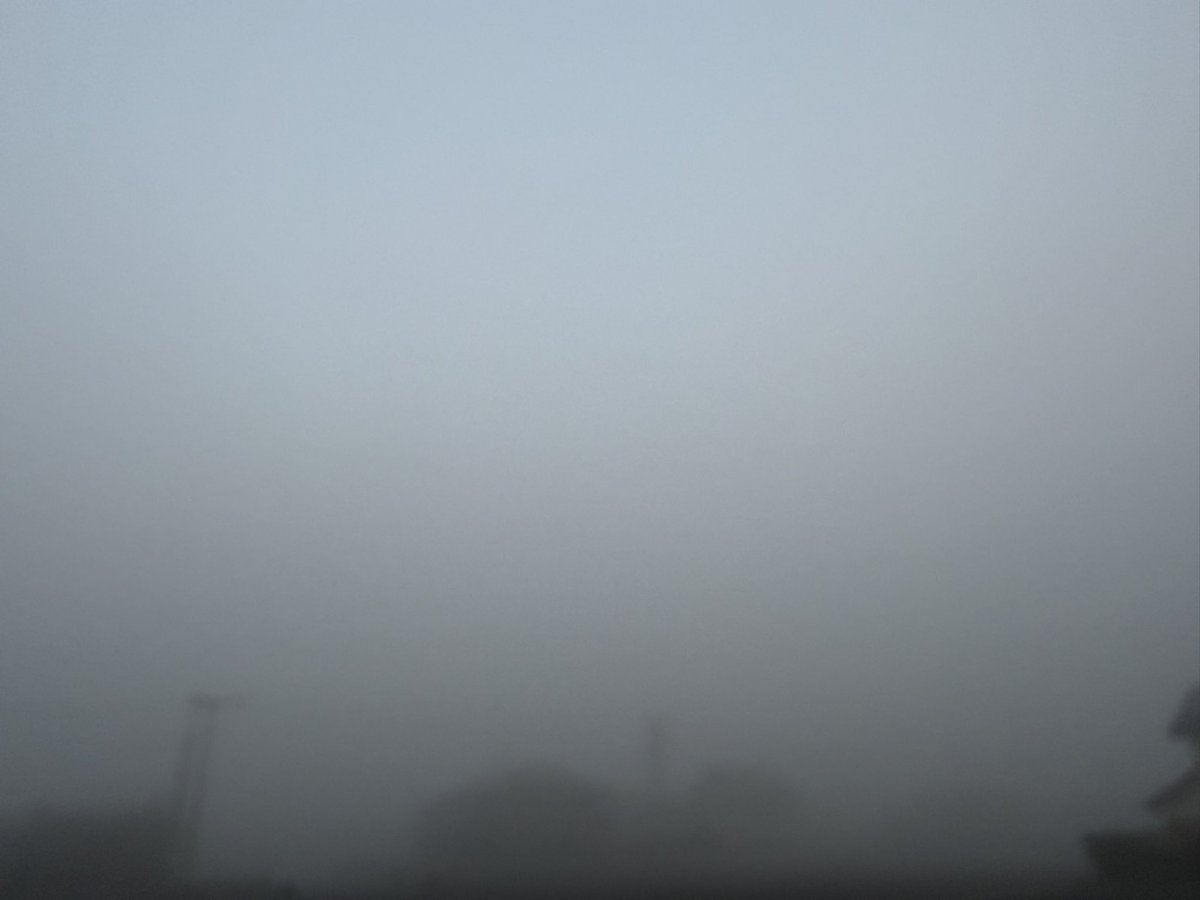 てんぱ🥦／山陰最強店アルファ店長 tweet media