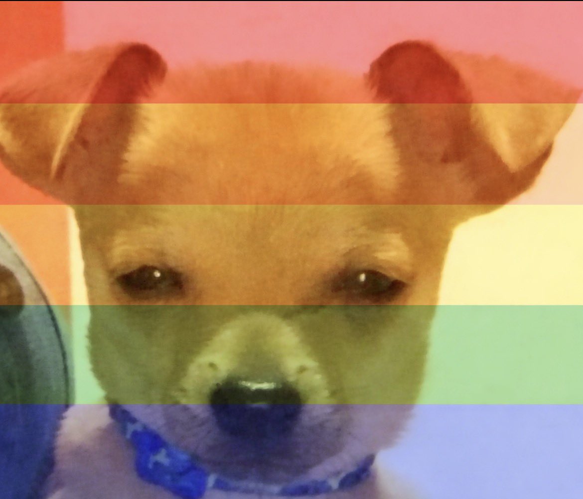 Molara🌷🌻 tweet media