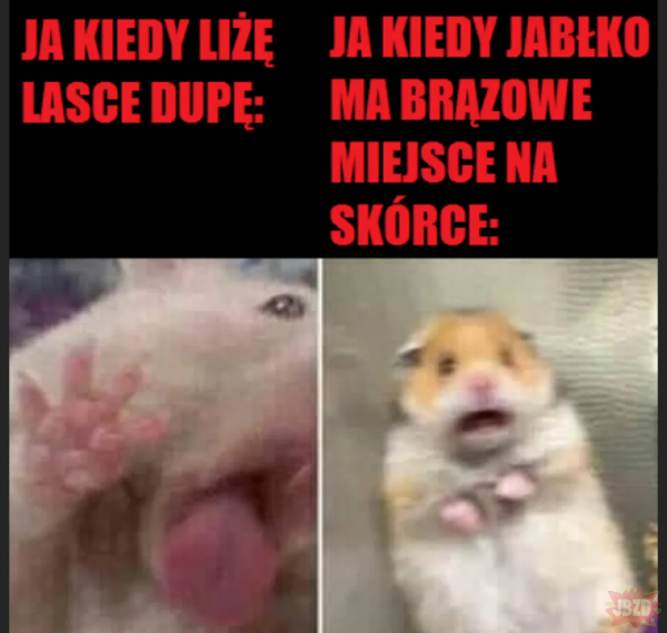 𝙼𝙸𝚂𝙸𝙰𝙲𝚉𝙴𝙺 tweet media