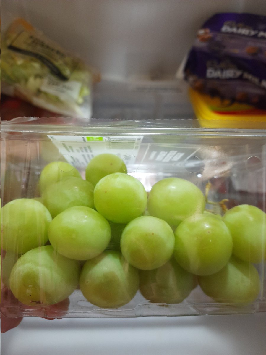 Copper ♡ #GettingBetterTwt tweet media