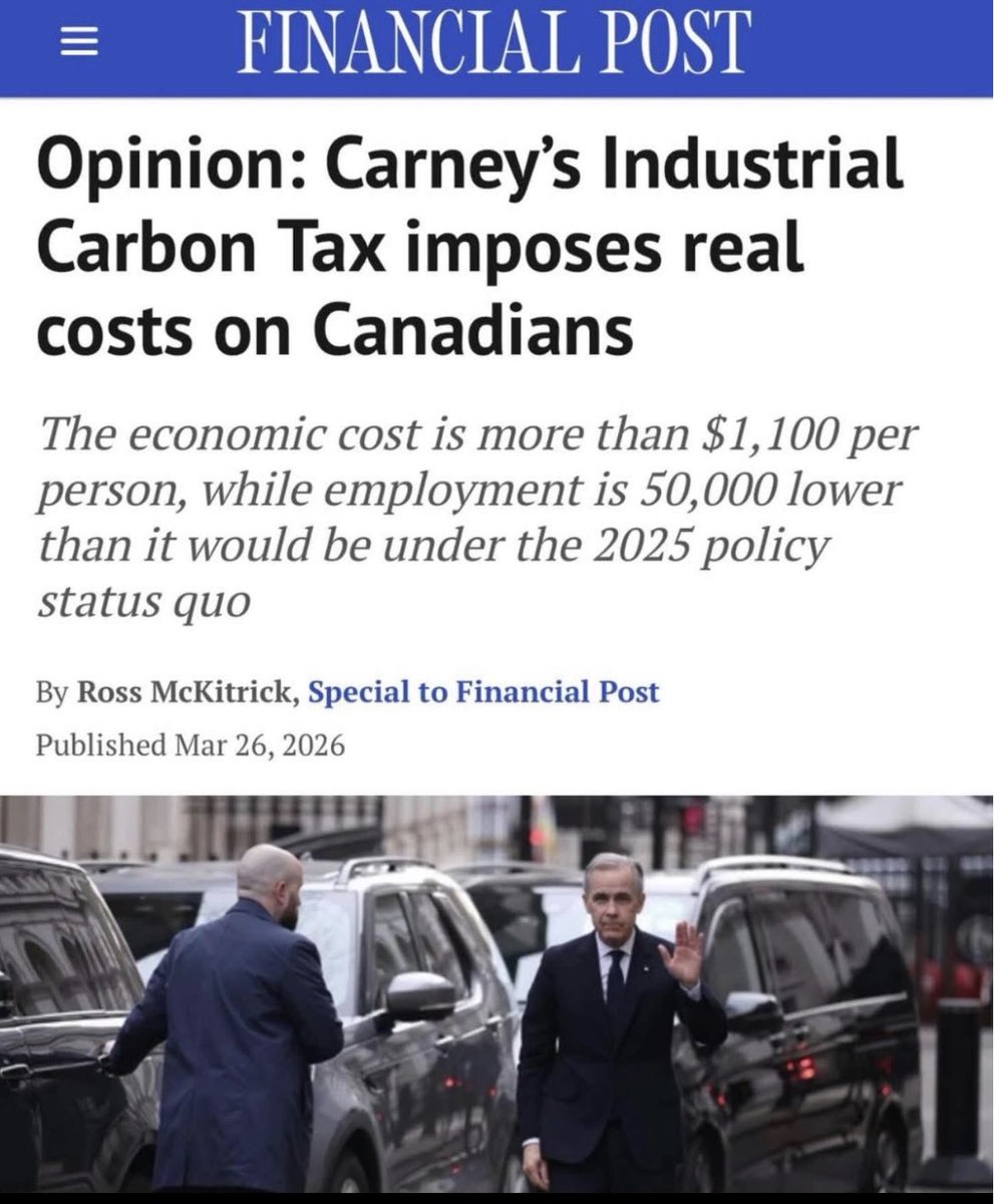 Nick Leaf tweet media