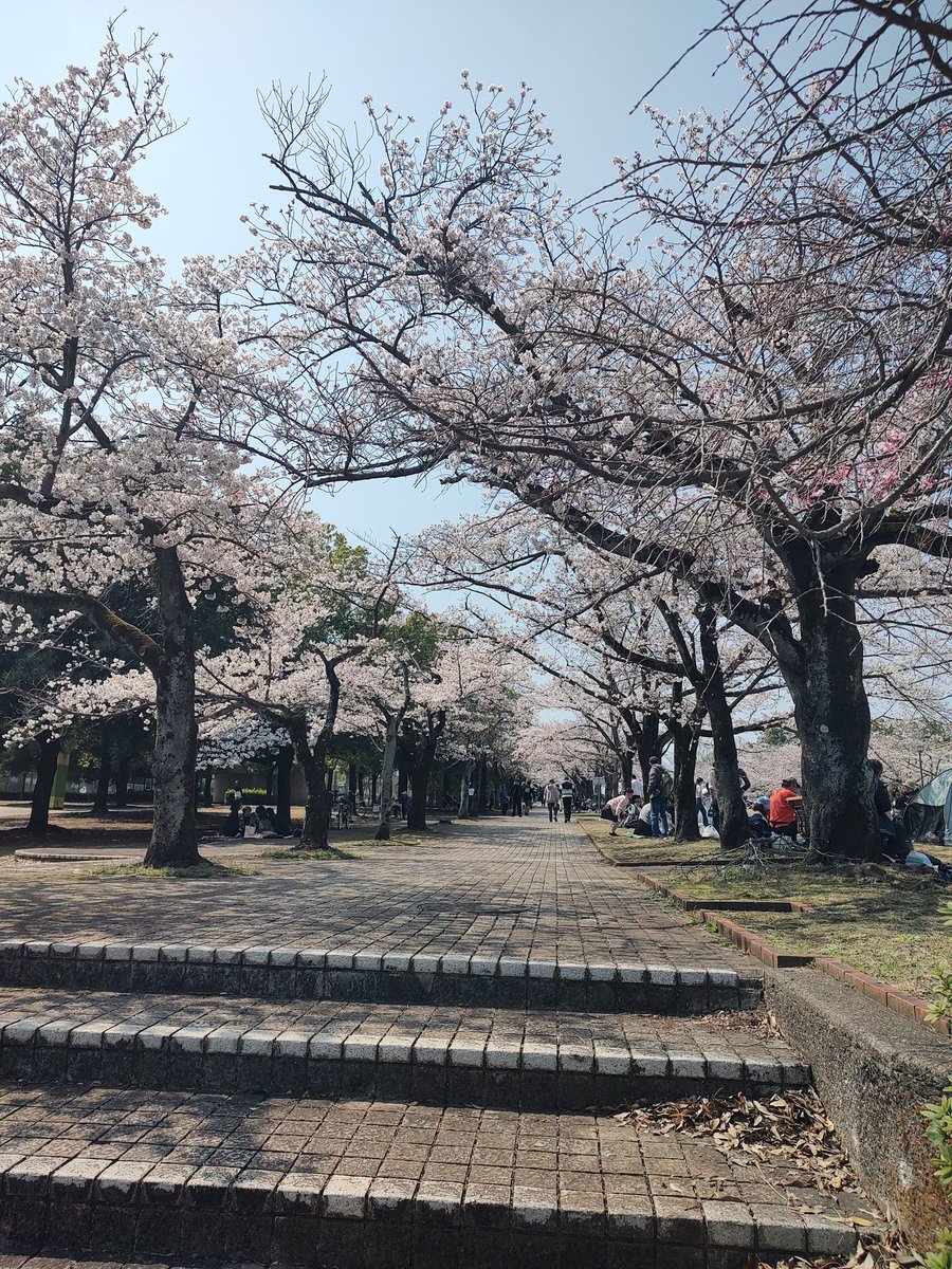 趣味垢@たますみ tweet media