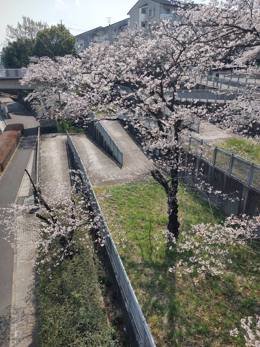 趣味垢@たますみ tweet media