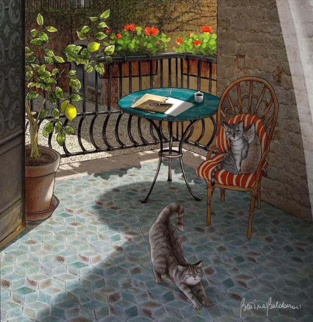 mami_mami813's tweet image. "There is a morning inside you waiting to burst open into light."

      —Rumi

May this Monday open the door to a week of blessings for you and your family..

#GoodMorning #HappyMonday💙🧡