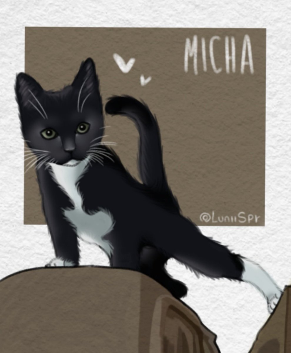 Lunii🔸 tweet media