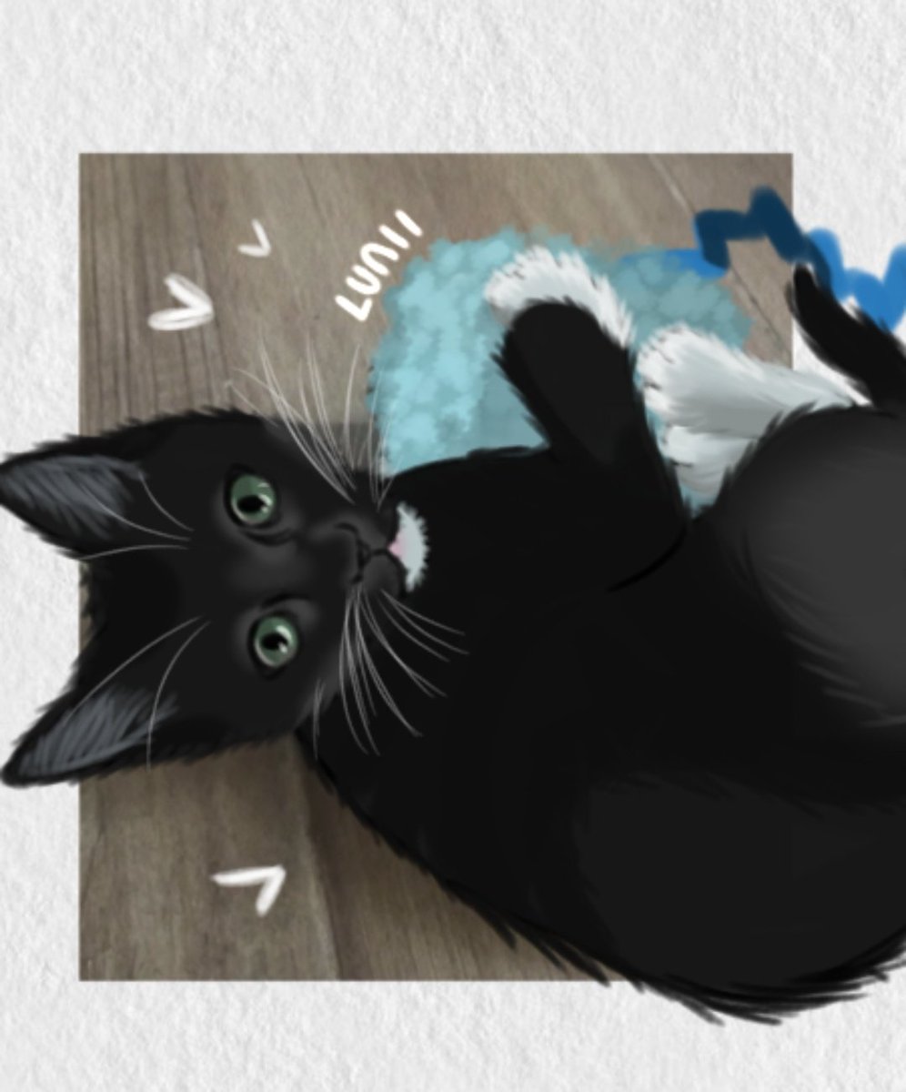 Lunii🔸 tweet media