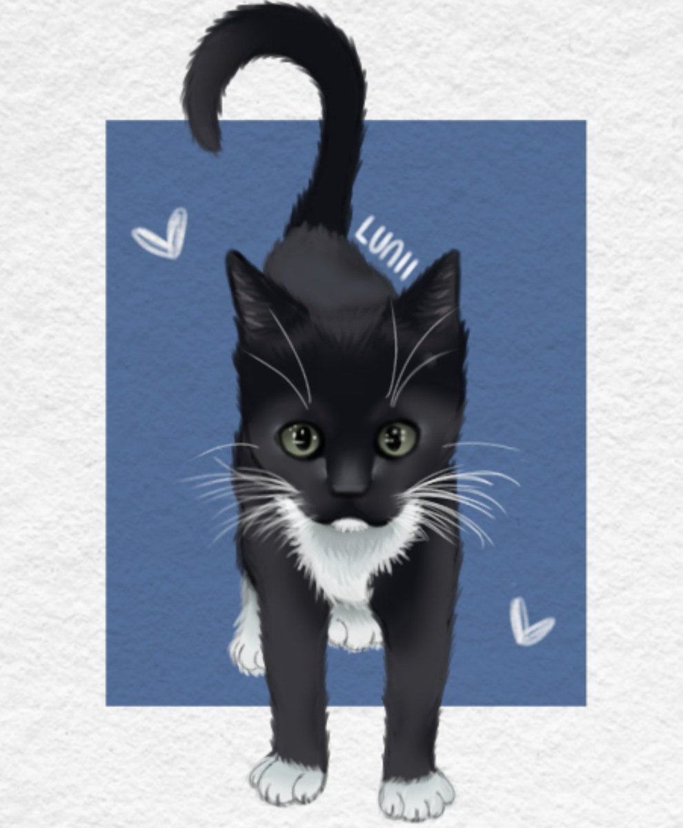 Lunii🔸 tweet media