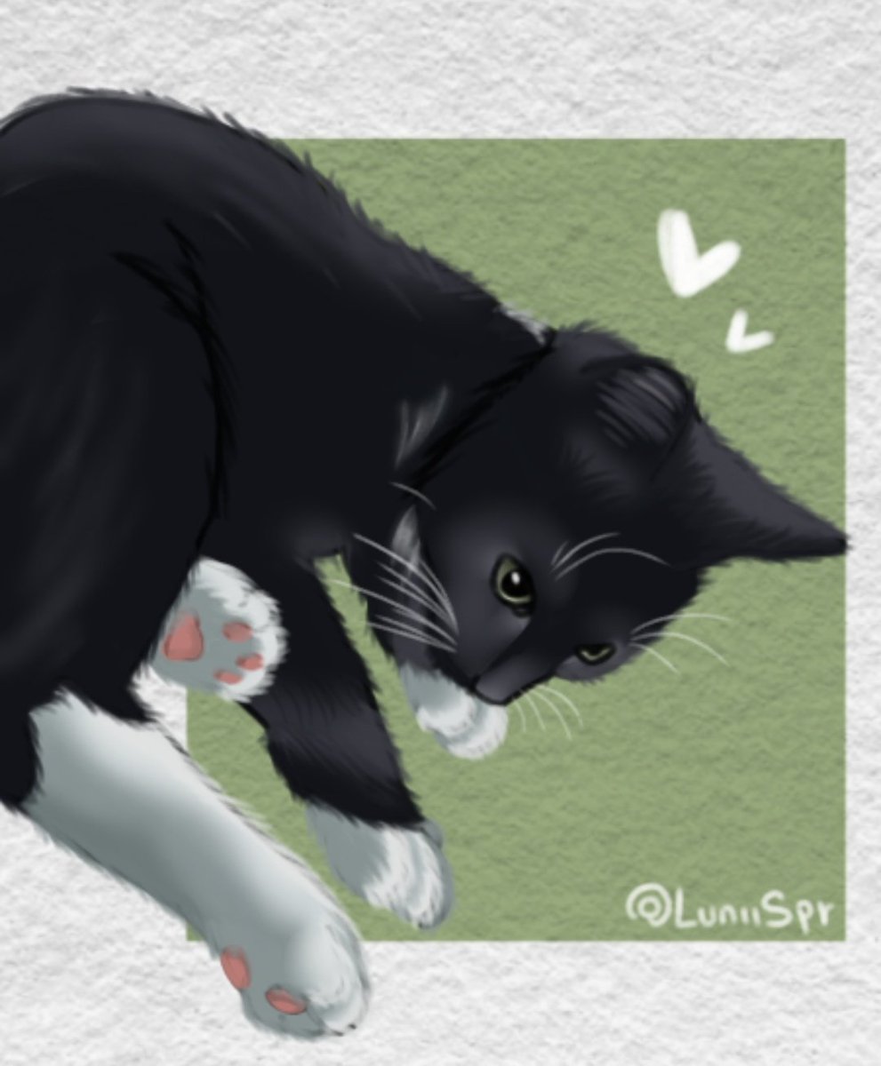 Lunii🔸 tweet media