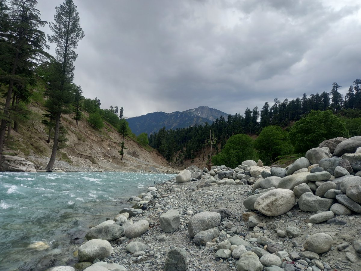 ESahresh tweet media