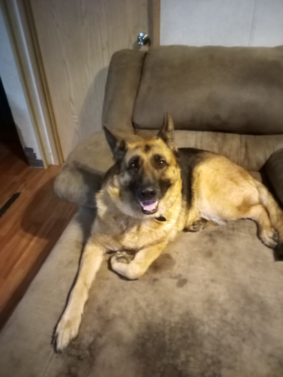 Lizzy Stevens tweet media