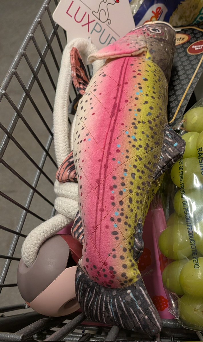 ꒰ঌ🔮໒꒱ tweet media