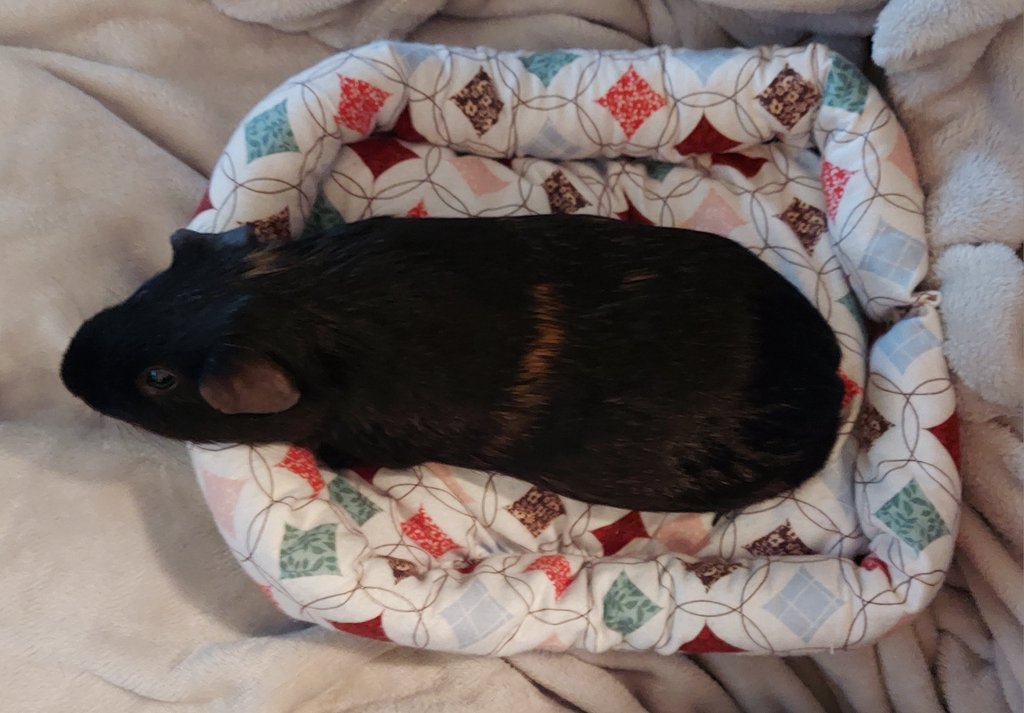 Garbage World Entourage 🗑 🦝✂️ tweet media