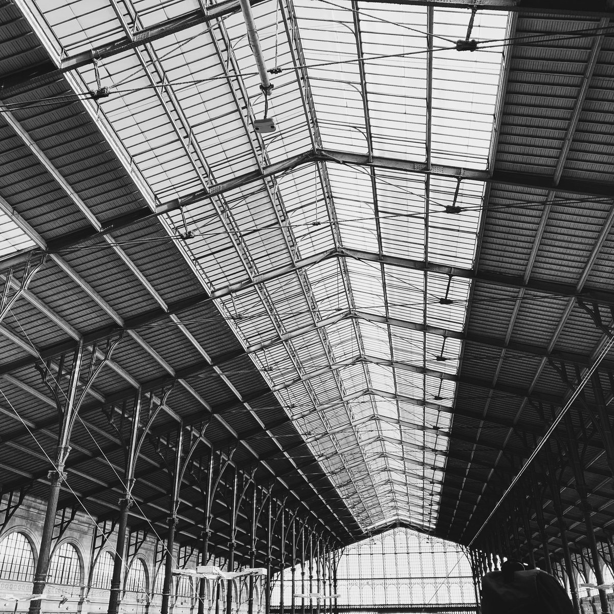 Cate Field 💚🤍💜 tweet media