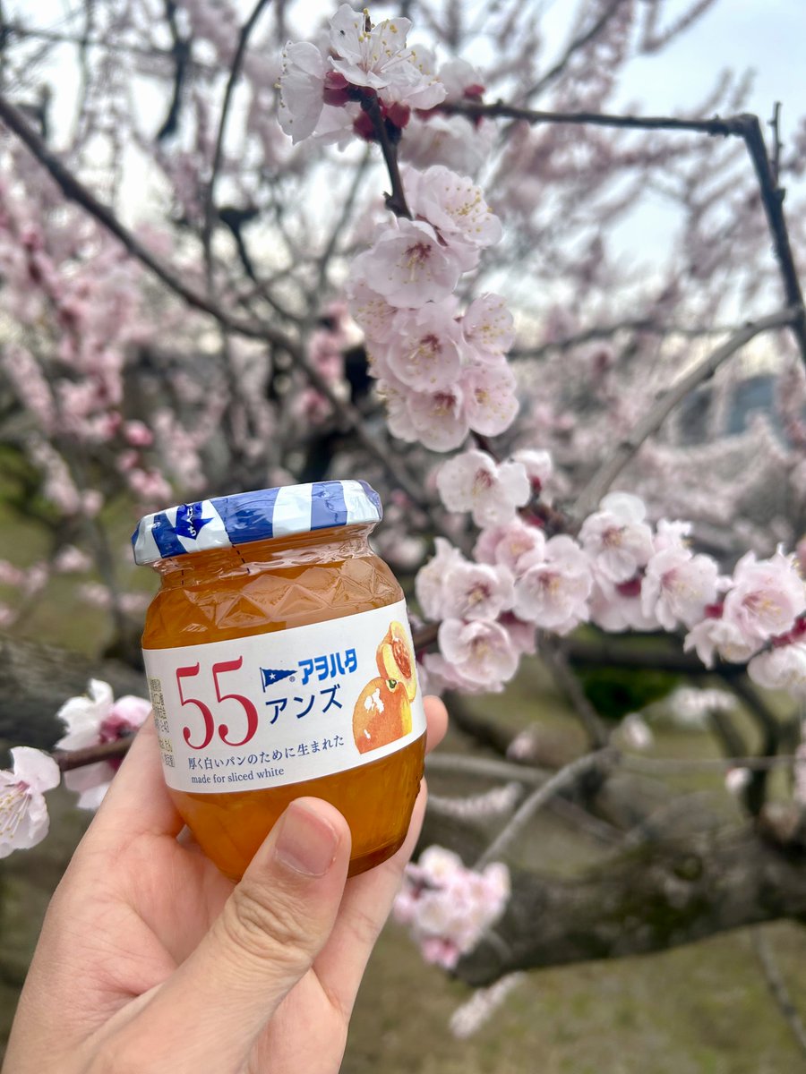 アヲハタ公式 tweet media