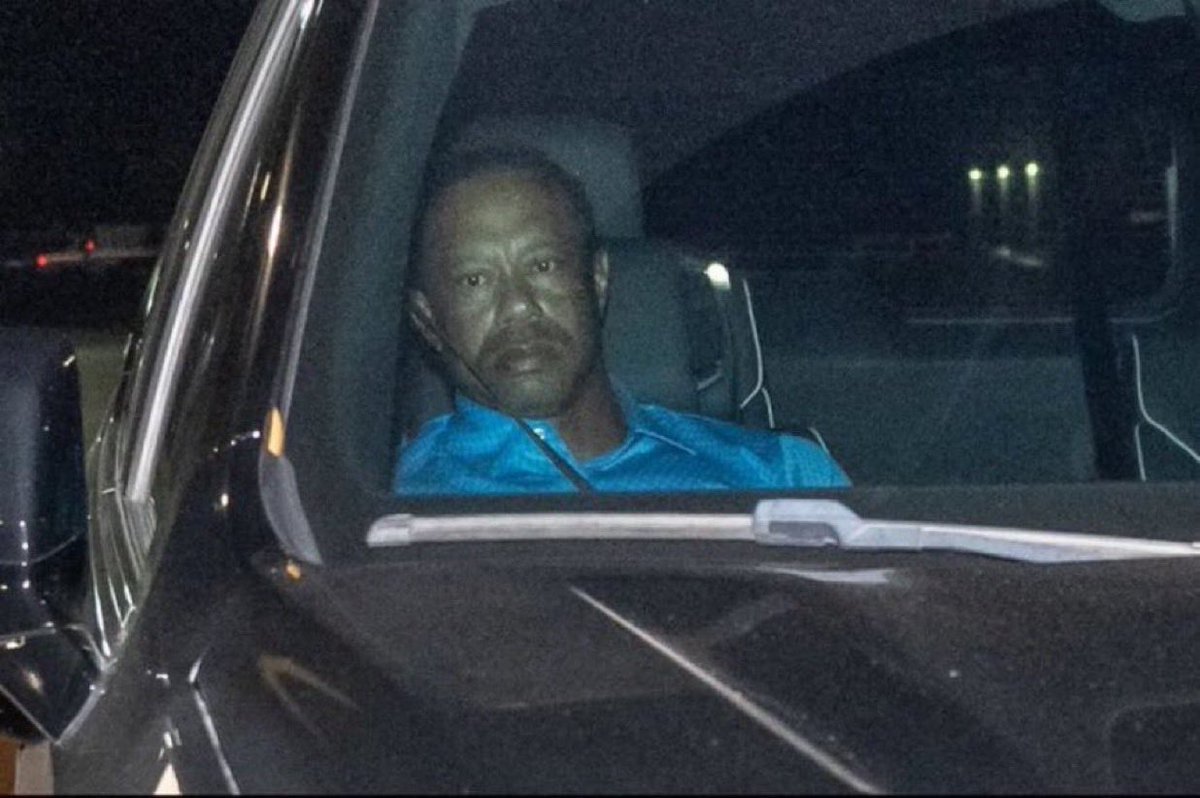 Rick Armadillo tweet media