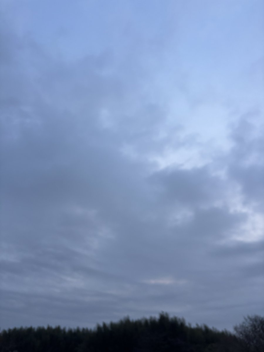 はれる家☀️かず tweet media