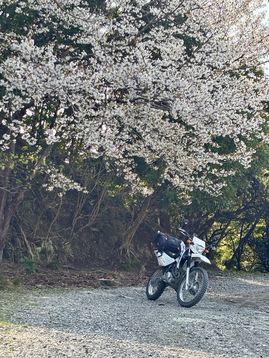 はれる家☀️かず tweet media