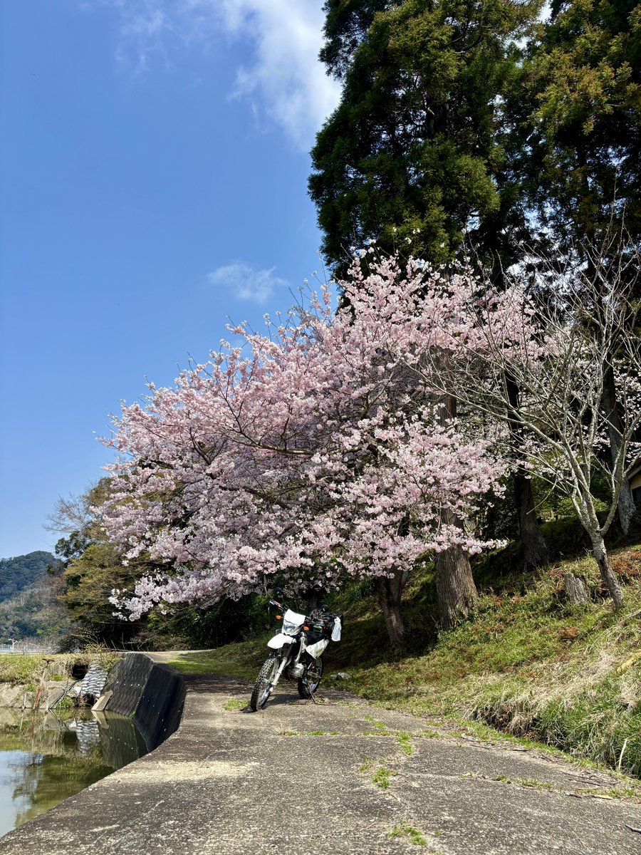 はれる家☀️かず tweet media