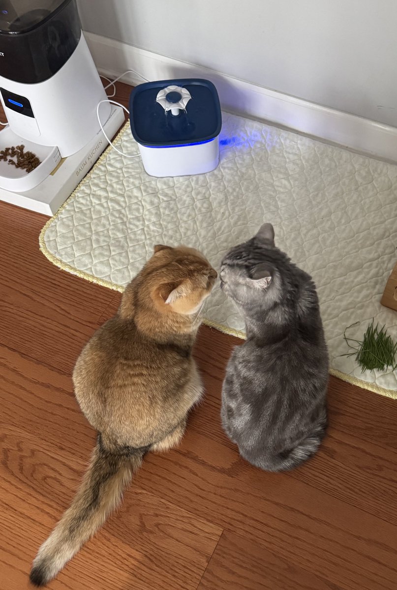 副代表 @チームWADA tweet media