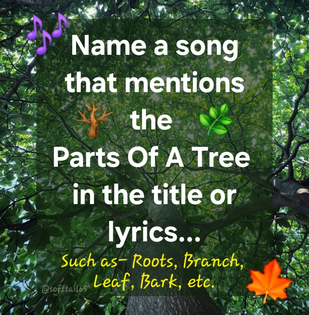 Monica 💙🌻🏳️‍🌈 tweet media