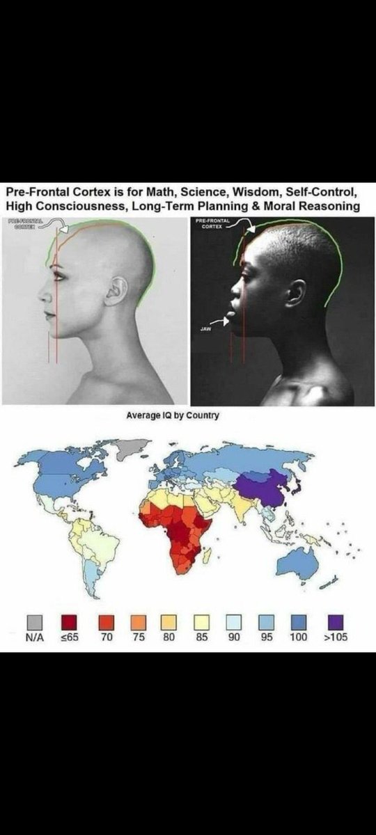 Zimolias tweet media