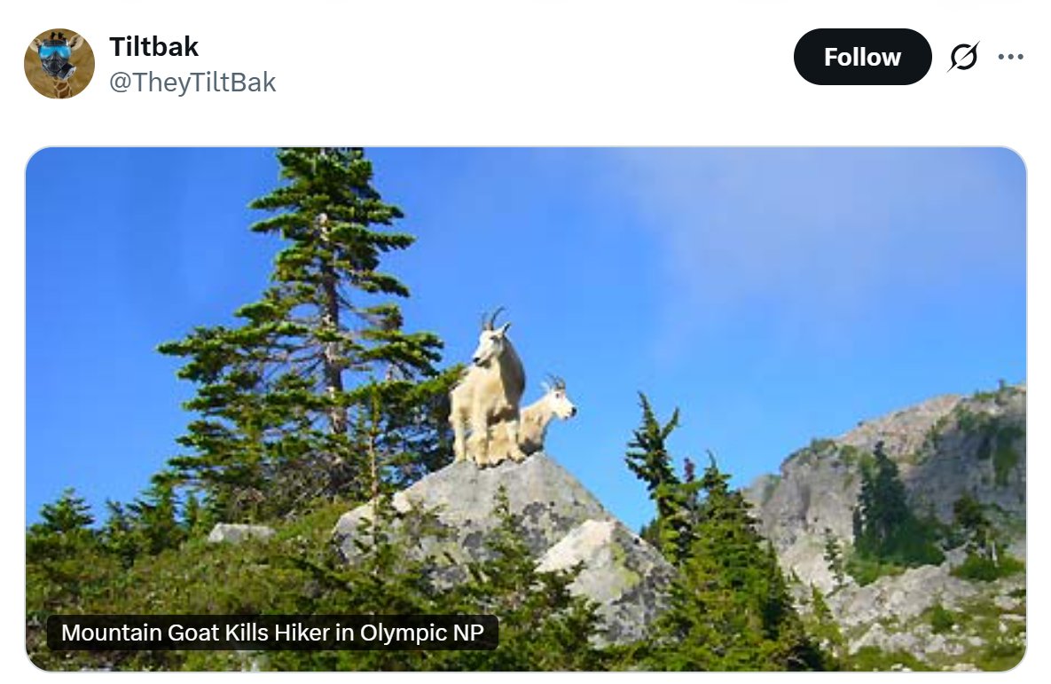 Scott Herring tweet media