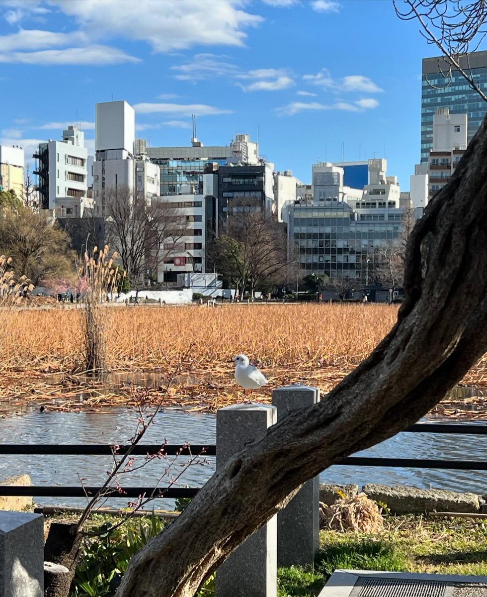 tempopoo tweet media