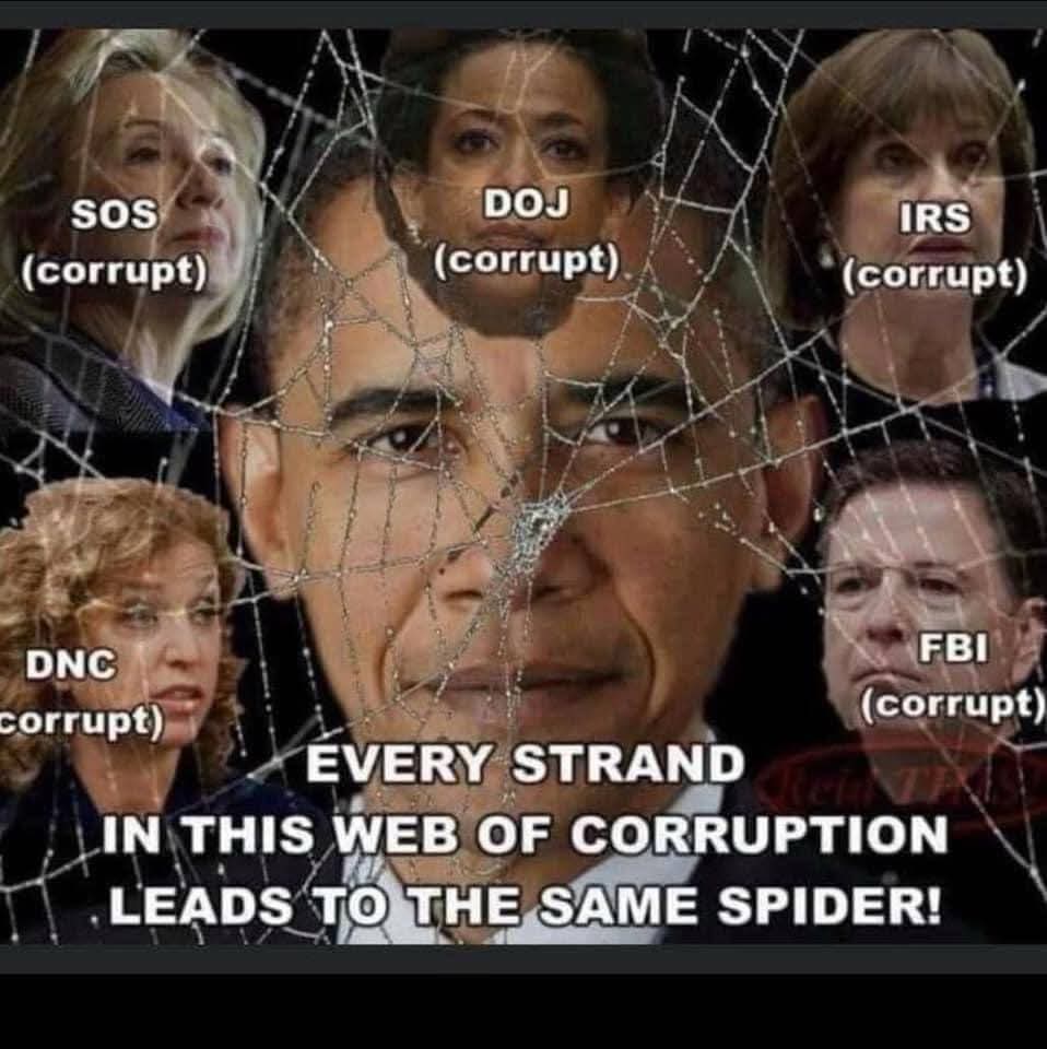 Deborah Harwood tweet media