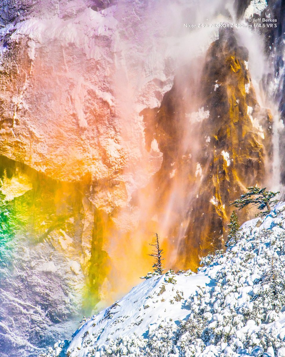 NikonUSA tweet media