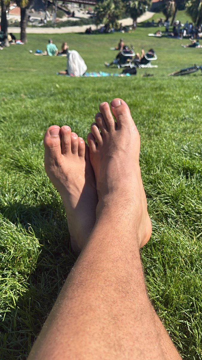 masterThiccy tweet media