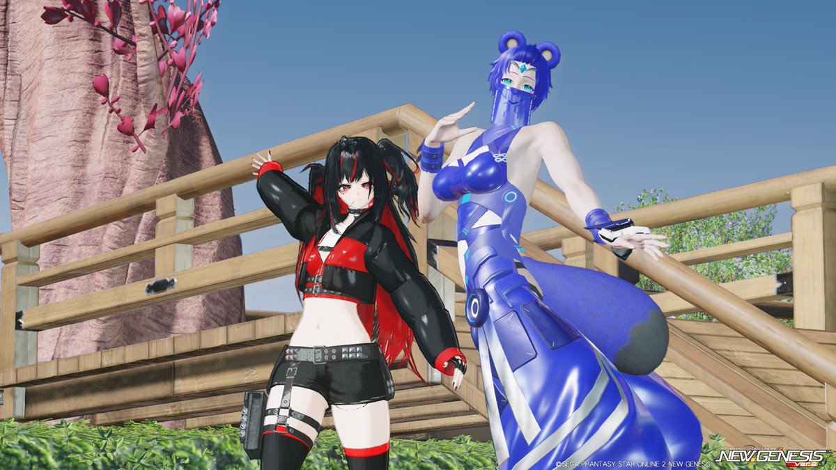 タヌキチ＠PSO2　SHIP4 tweet media