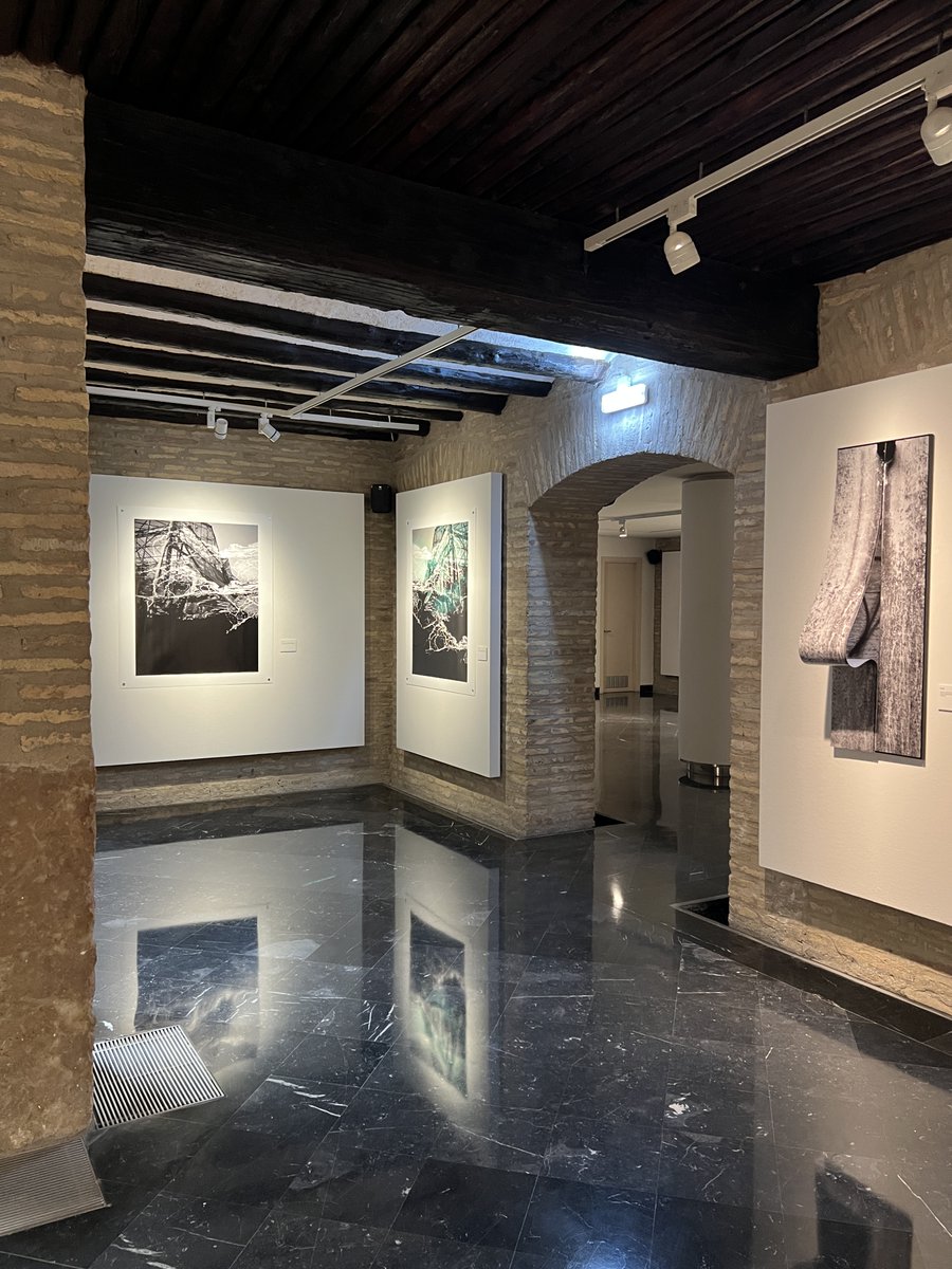 zexposiciones tweet media