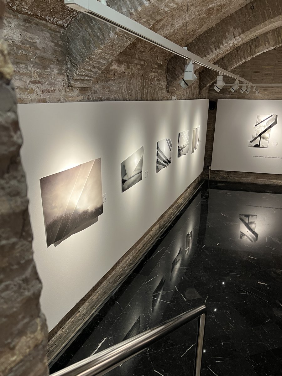zexposiciones tweet media