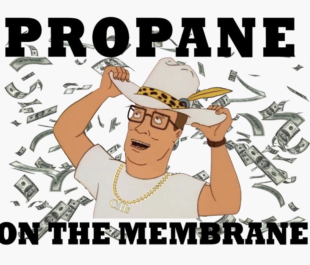 Boomhauer tweet media