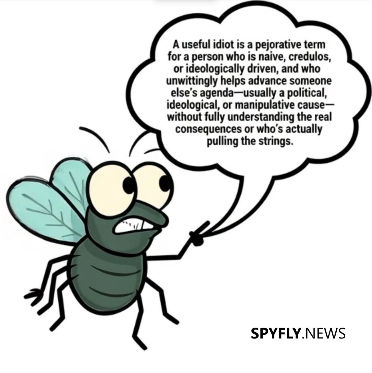 spyfly.news tweet media