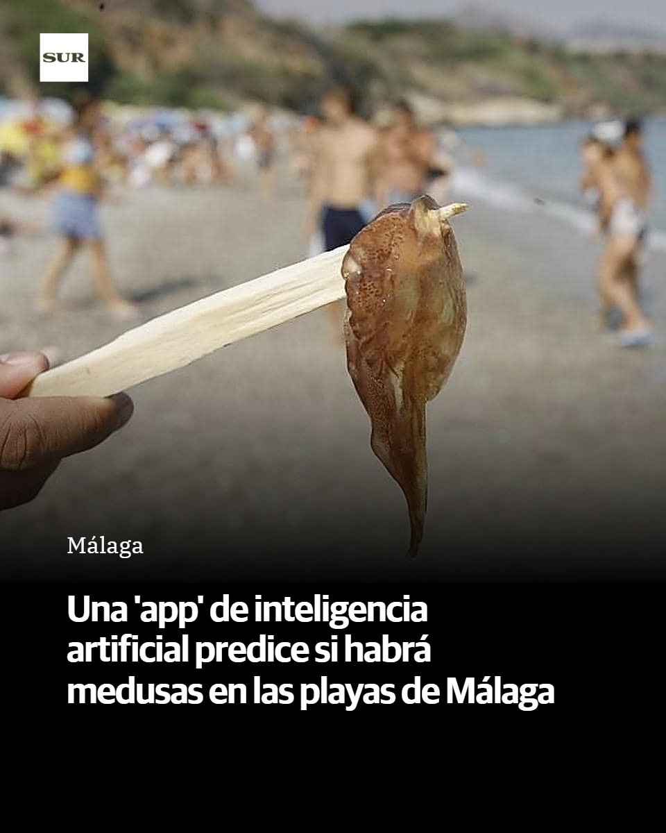 SUR. El periódico de Málaga tweet media