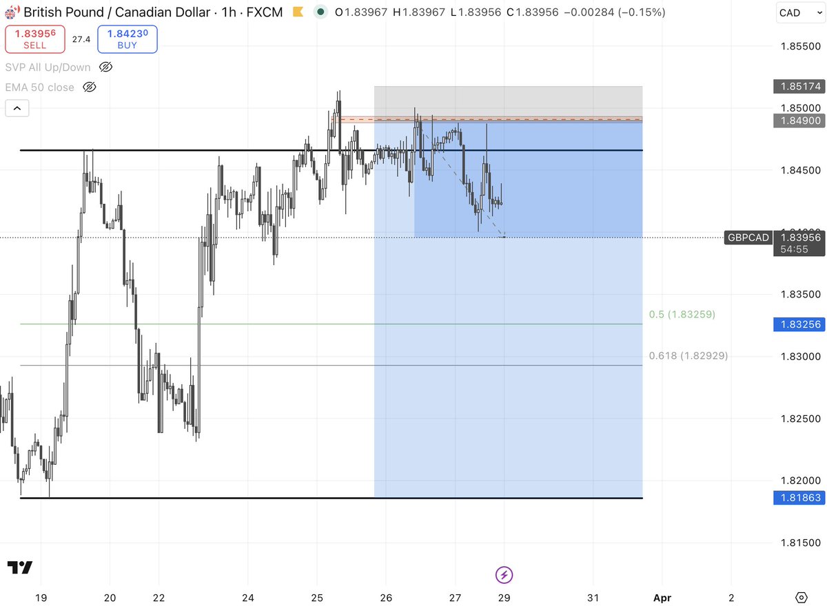 Trader Palms 🌴 tweet media