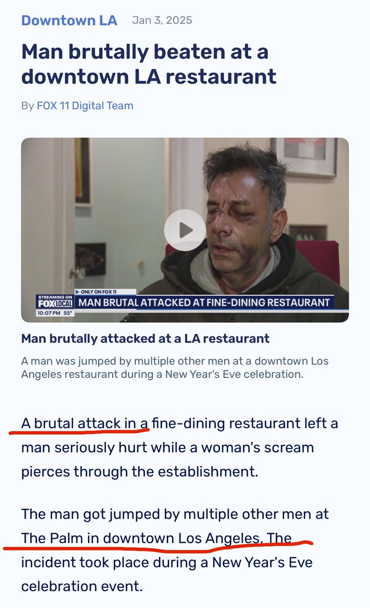 Stella X tweet media