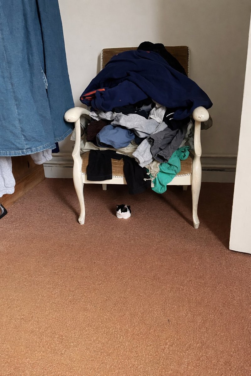 🧚‍♀️ tweet media