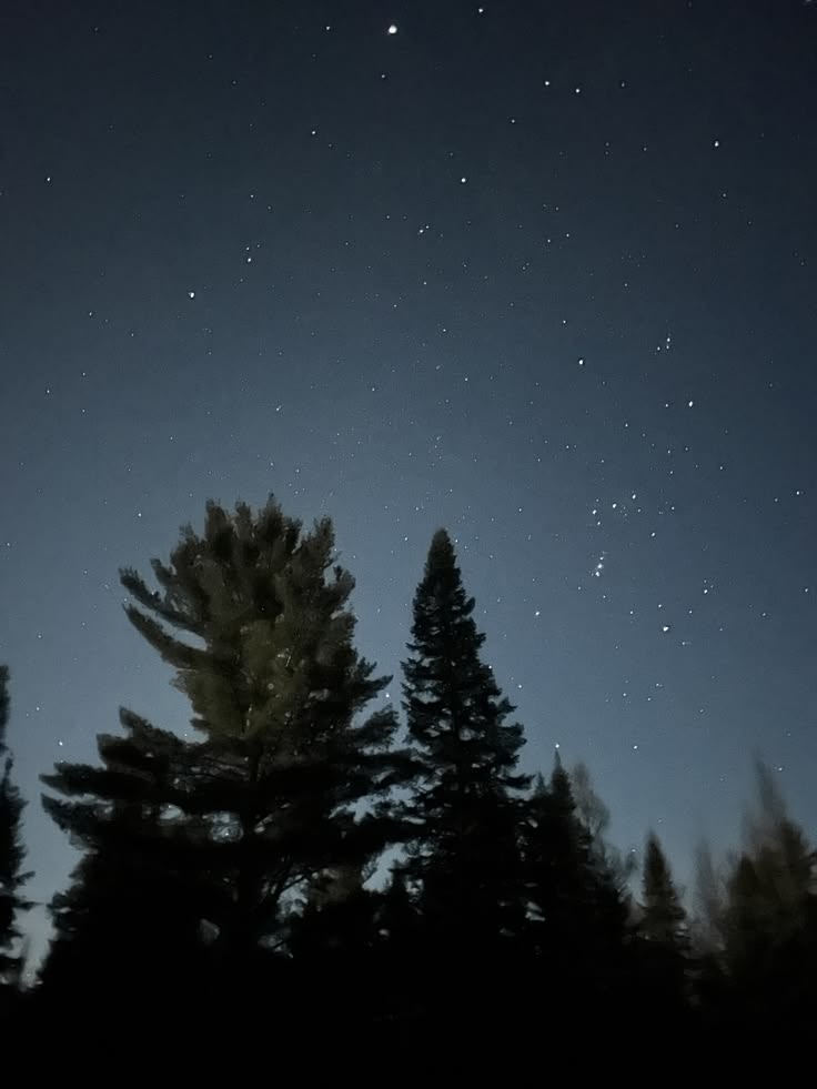 𝕰𝖑𝖊𝖒𝖒𝖎𝖗𝖊 tweet media