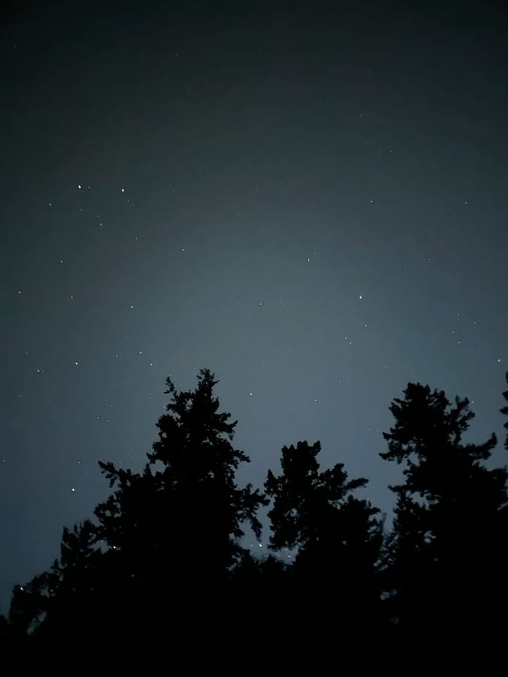 𝕰𝖑𝖊𝖒𝖒𝖎𝖗𝖊 tweet media