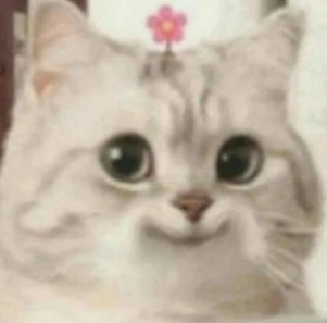 Avo | OffGun tweet media