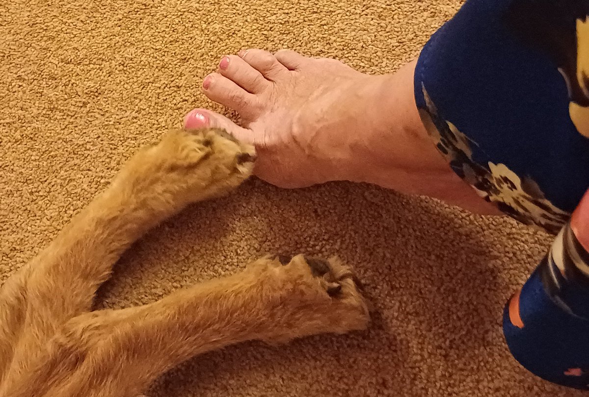 Heather 💙 tweet media