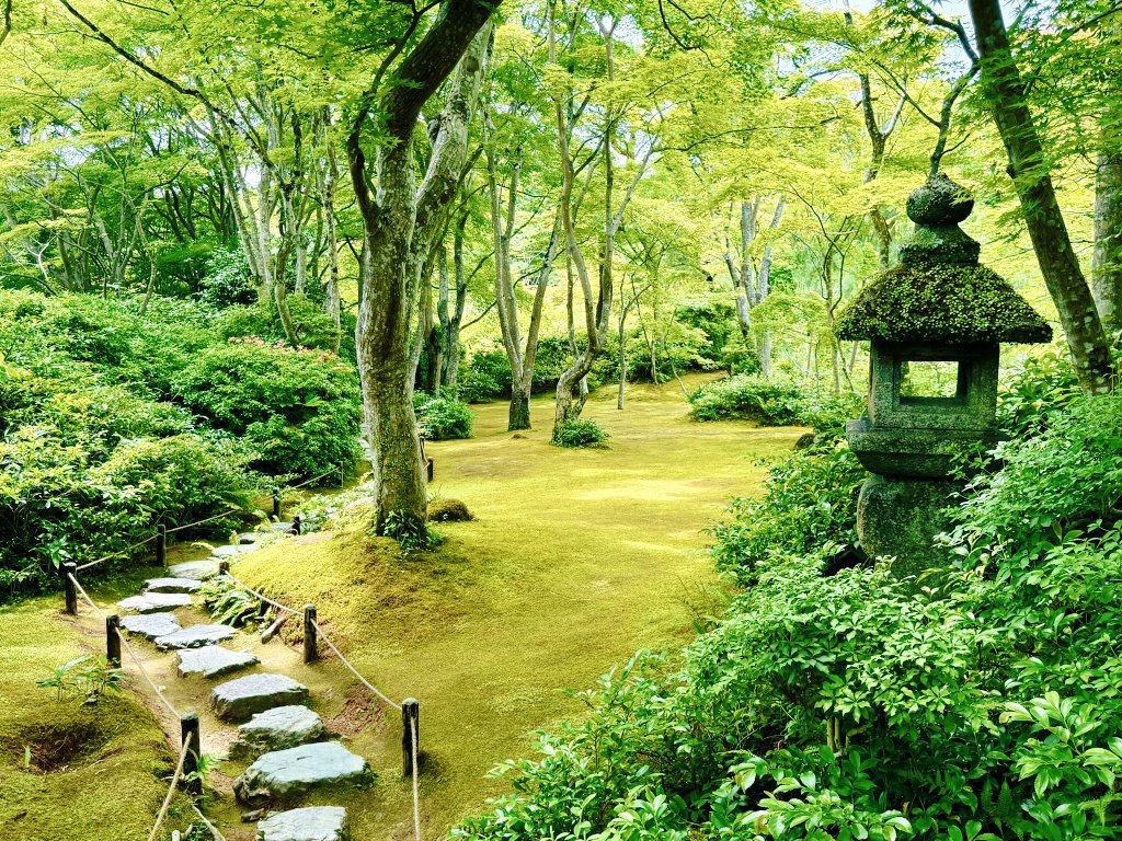 The Conservative Alternative tweet media