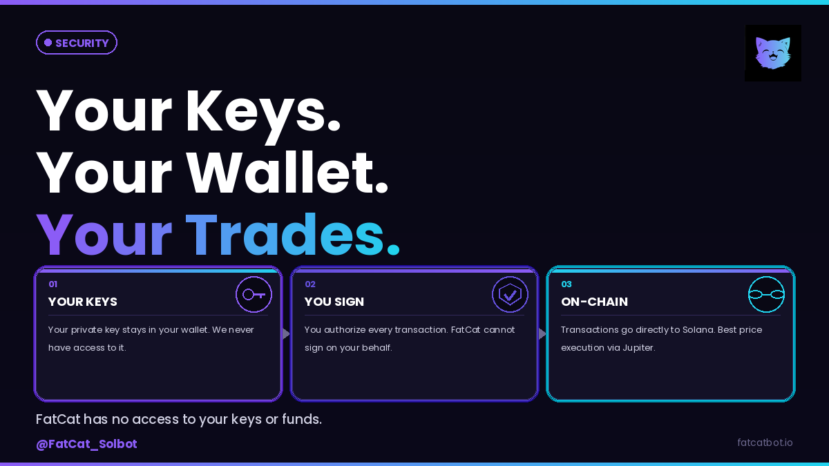 FatCatBot's tweet photo. Your Keys. Your Wallet. Your Trades. 

Only on FatCatBot

#trading #solana #perps #bitcoin https://t.co/bNCIJO3oFn