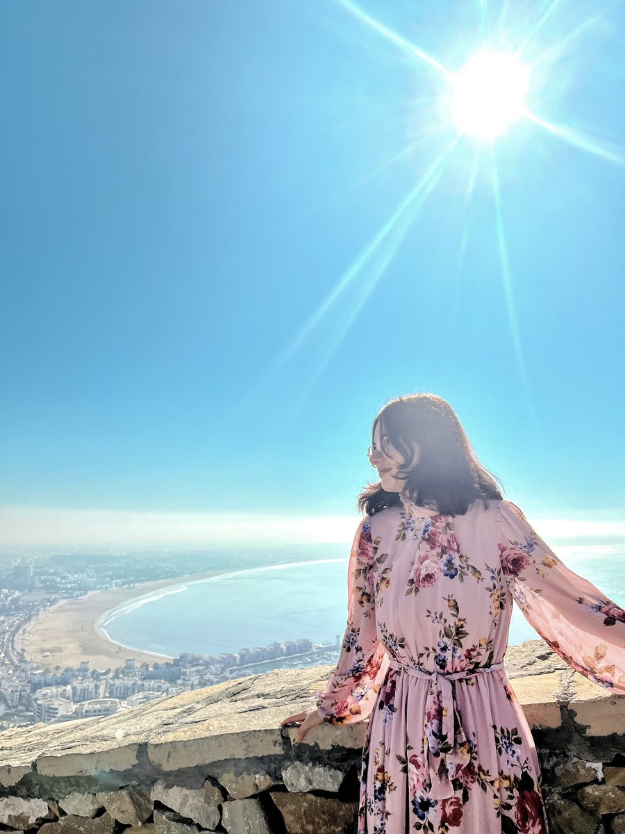 tom scavo hate account 🇵🇸 tweet media